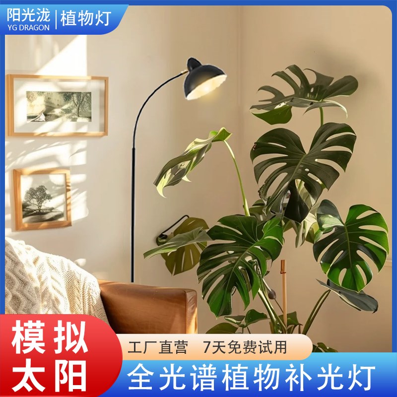 室内植物补光灯仿太阳全光谱日照生长发财树龟背竹光合作用落地灯