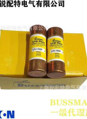 LPJ-15SP 延时保险丝 600V15A 巴斯曼BUSSMANN熔断器