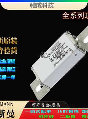 巴斯曼170M1851 170M1853 170M1865 厂家原装优价供应 低压保险丝