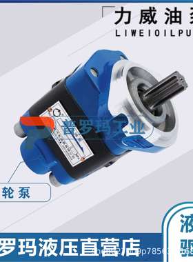 合肥力威QC16/14-D10B 液压齿轮油泵 客车汽车动力泵D10转向油泵
