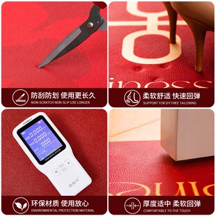 高级感入户门地垫进门口可擦免洗PVC门垫耐脏秋冬地毯竖版可裁剪