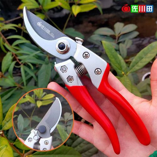 佐川田修枝剪花剪园林工具树枝剪花木剪果树修枝剪刀省力修花剪刀
