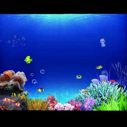 鱼缸背景贴纸壁纸高清图3D立体画海底世界背景画水族箱造景装饰画
