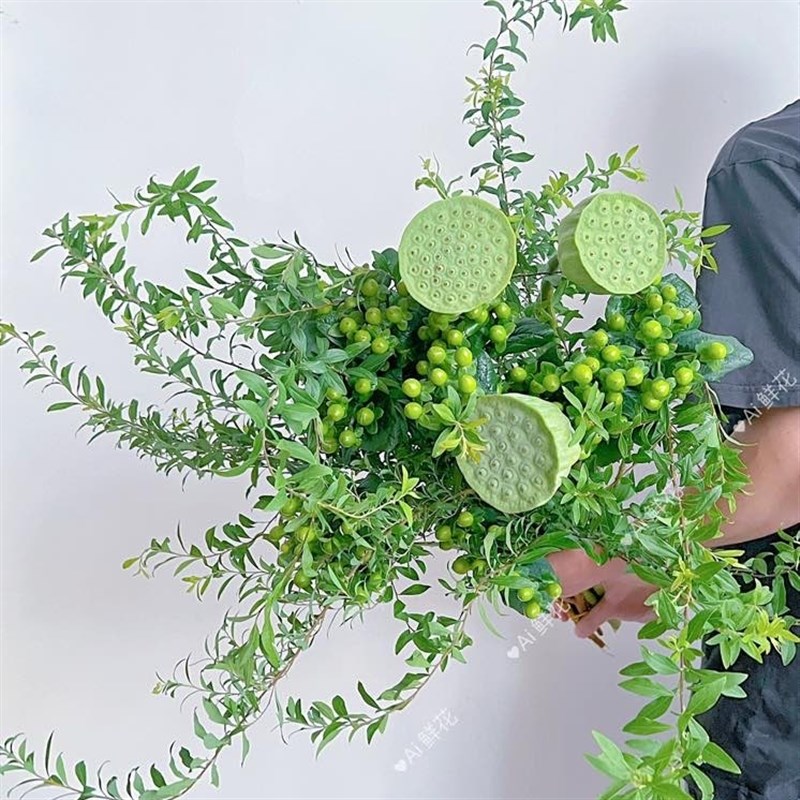 夏季清爽组合插花莲运插莲好花束莲蓬鲜花花水养花期长送花