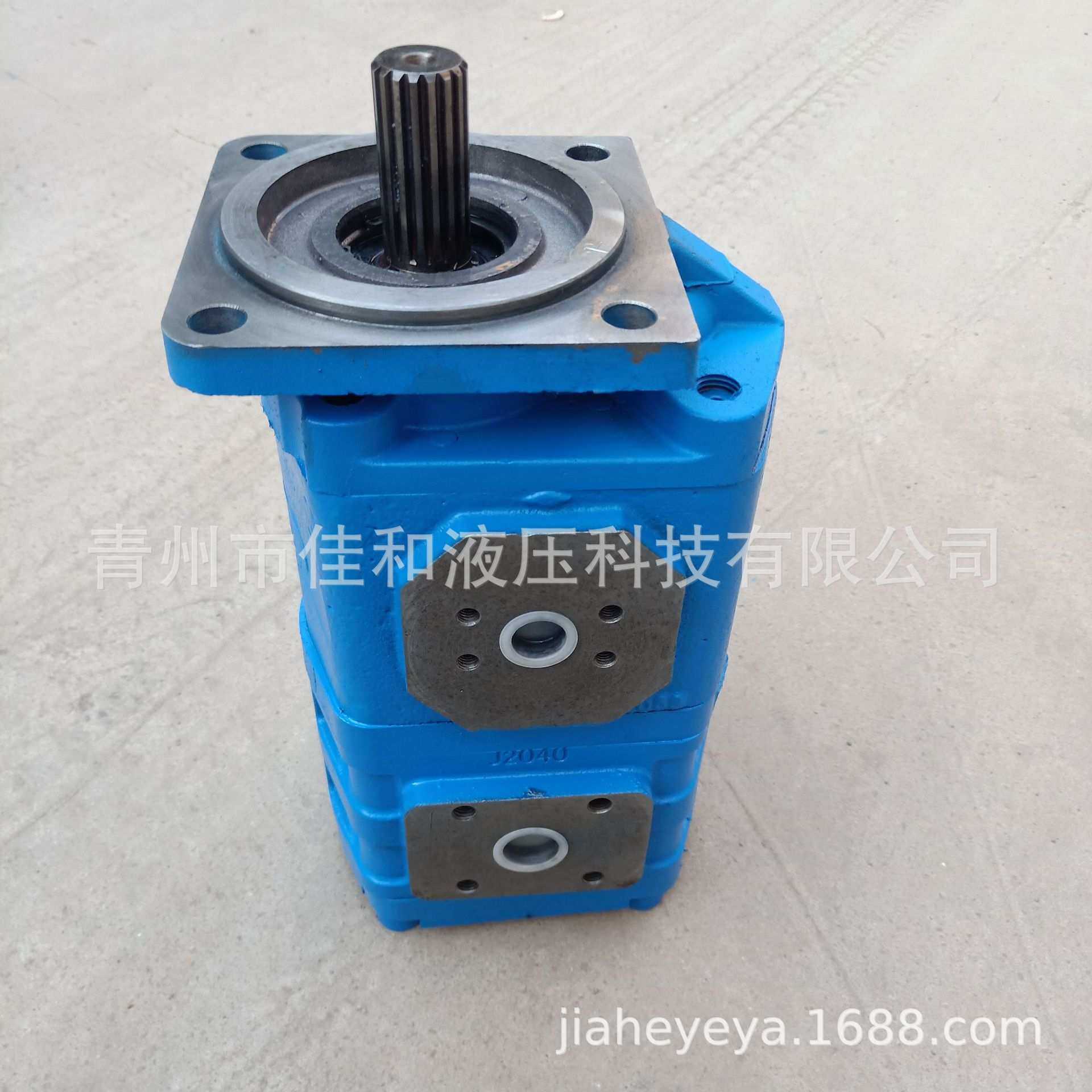 扒渣机配套齿轮油泵CBGJ2040/2040,3C数码配件,摄像机配件,淘宝优惠券,粉丝福利购,淘宝优惠卷