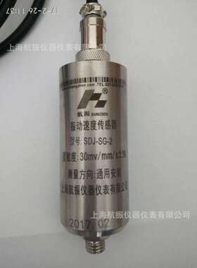 SZ-5JJ5JJJ-A5-BJ-CJ-D6-D1-F一体化振动变送器