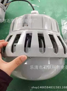 LED防爆平台灯 BLED9112石化气站防爆灯/50W