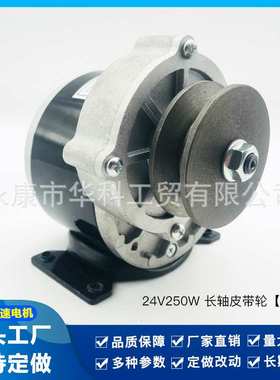 有刷直流电机1016Z24V 250W代步车电动车电瓶车减速扫地车轮椅
