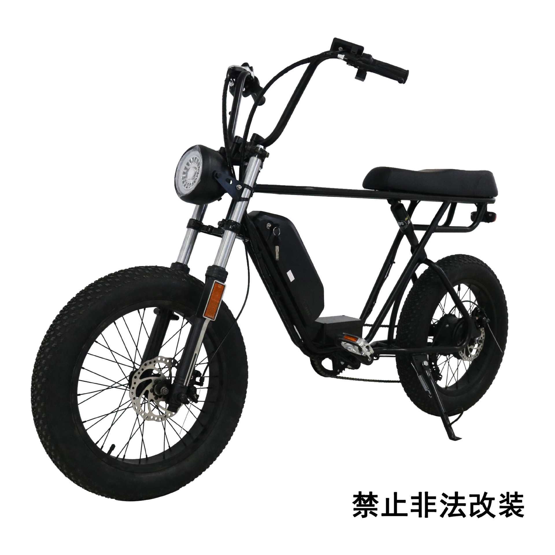 550B出口电动车20寸宽胎电动沙滩车雪地车锂电池电动自行车