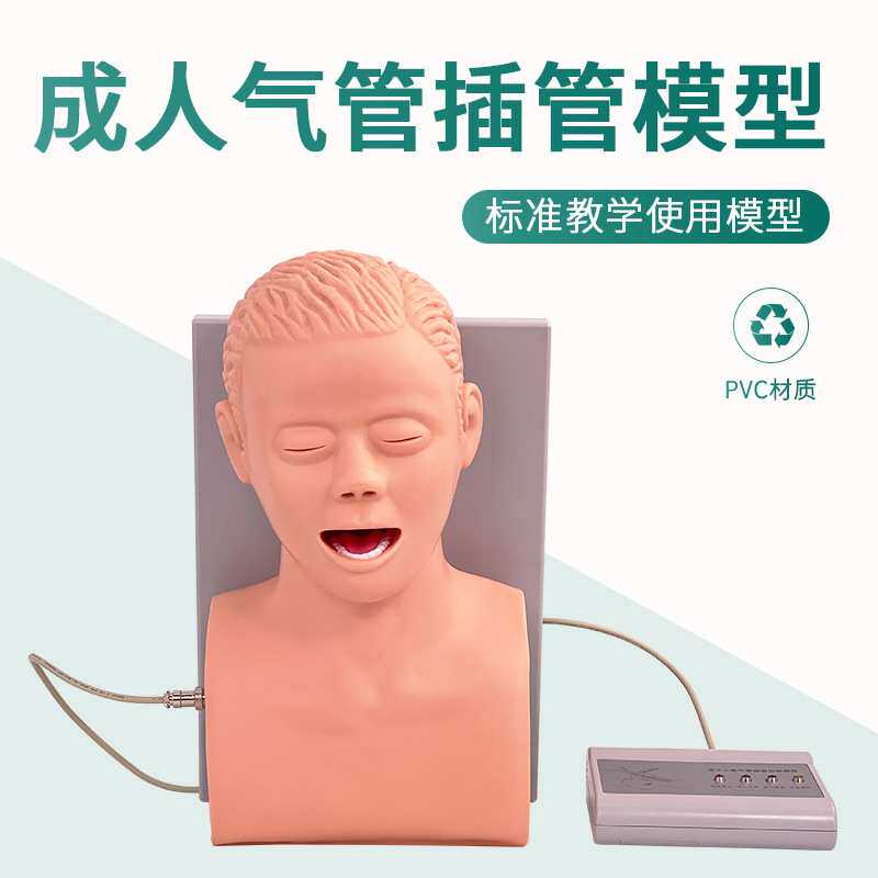 成人气管插管训练模型 牙齿报警 人体电子气管插管训练模型 J5s