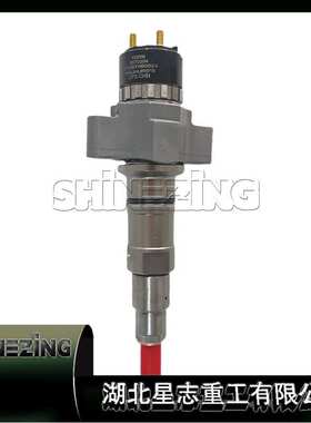 5572354/燃油共轨喷油器Fuel Pump发动机配件喷油器5572354