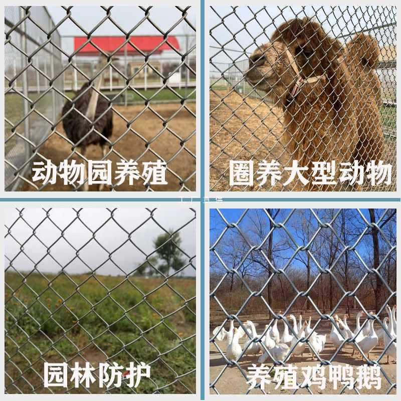 5IJO镀锌铁丝网围栏防护网勾花网钢丝网养殖羊牛猪栏网果园栅栏护