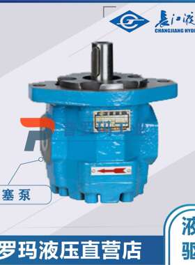 四川长江液压齿轮油泵CMG2040-A1L 2050 2063 2080 2100 2125-B2L