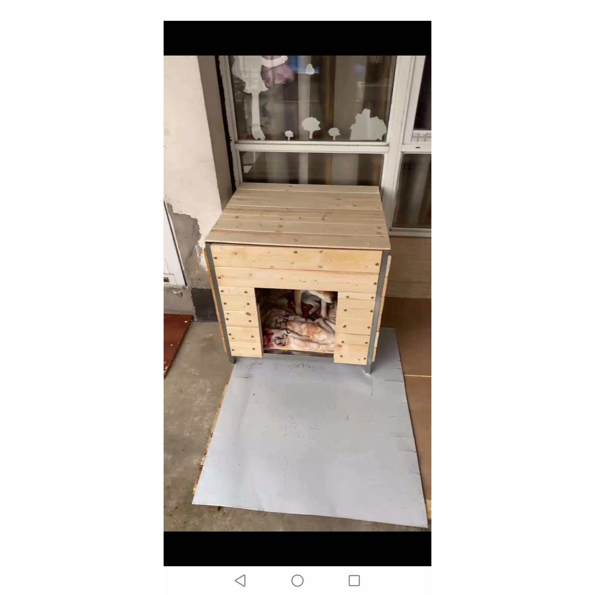 可室外实木狗窝防水防雨户外狗房子田园犬农村土狗屋四季通用,模玩/动漫/周边/娃圈三坑/桌游,模型制作工具/辅料耗材,淘宝优惠券,粉丝福利购,淘宝优惠卷