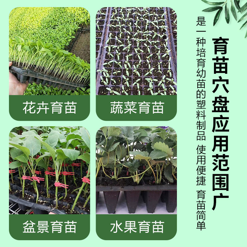 育苗穴盘批发草莓花卉蔬菜茄子玉米豆角辣椒白菜105孔专用育苗盘