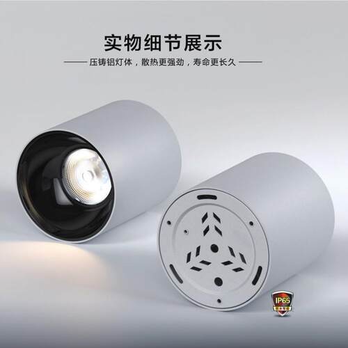LED M系列防水圆形筒灯 户外室内 15W 2501M射灯防水灯商场灯