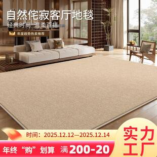 地毯客厅侘寂风宋式美学新中式免洗可擦禅意茶室沙发地垫大面积