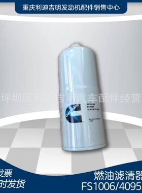 k19 k38发电机组配件 Nt855发动机零件 燃油滤清器FS1006 4095189