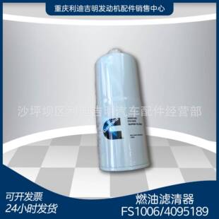k19 k38发电机组配件 Nt855发动机零件 燃油滤清器FS1006 4095189