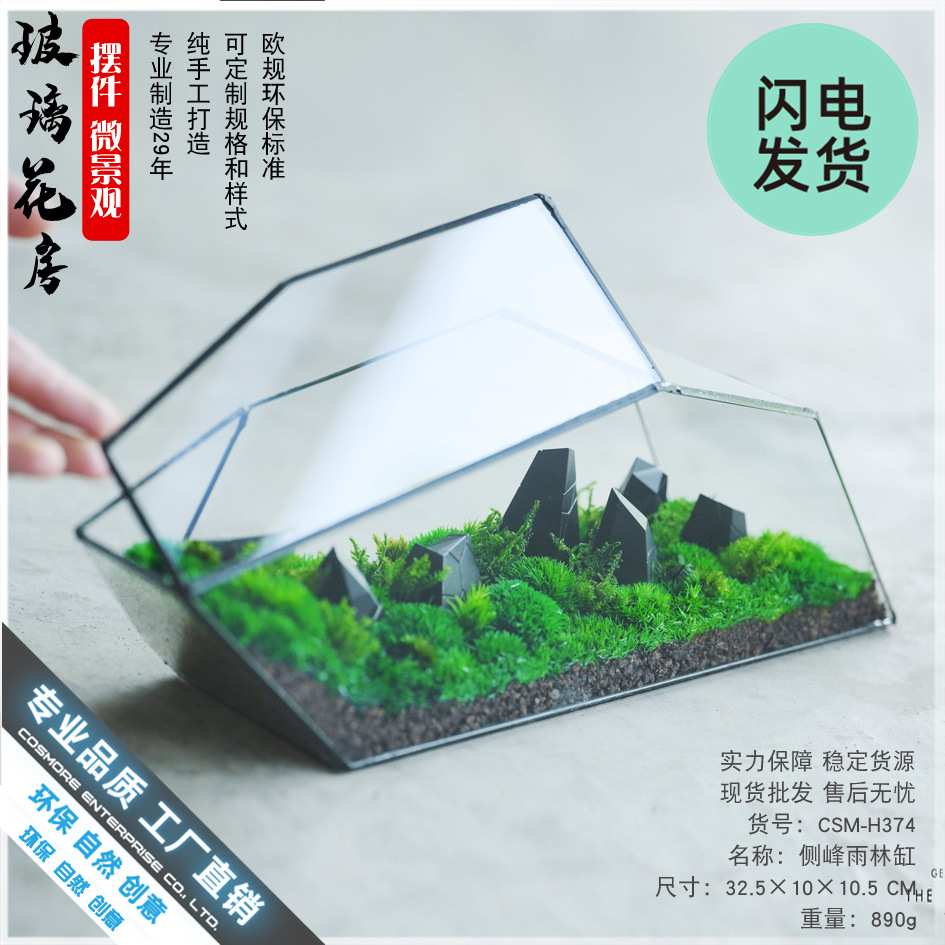 苔藓微景观玻璃花房器皿生态雨林缸造景流水植物墙花盆器鱼玻璃罩