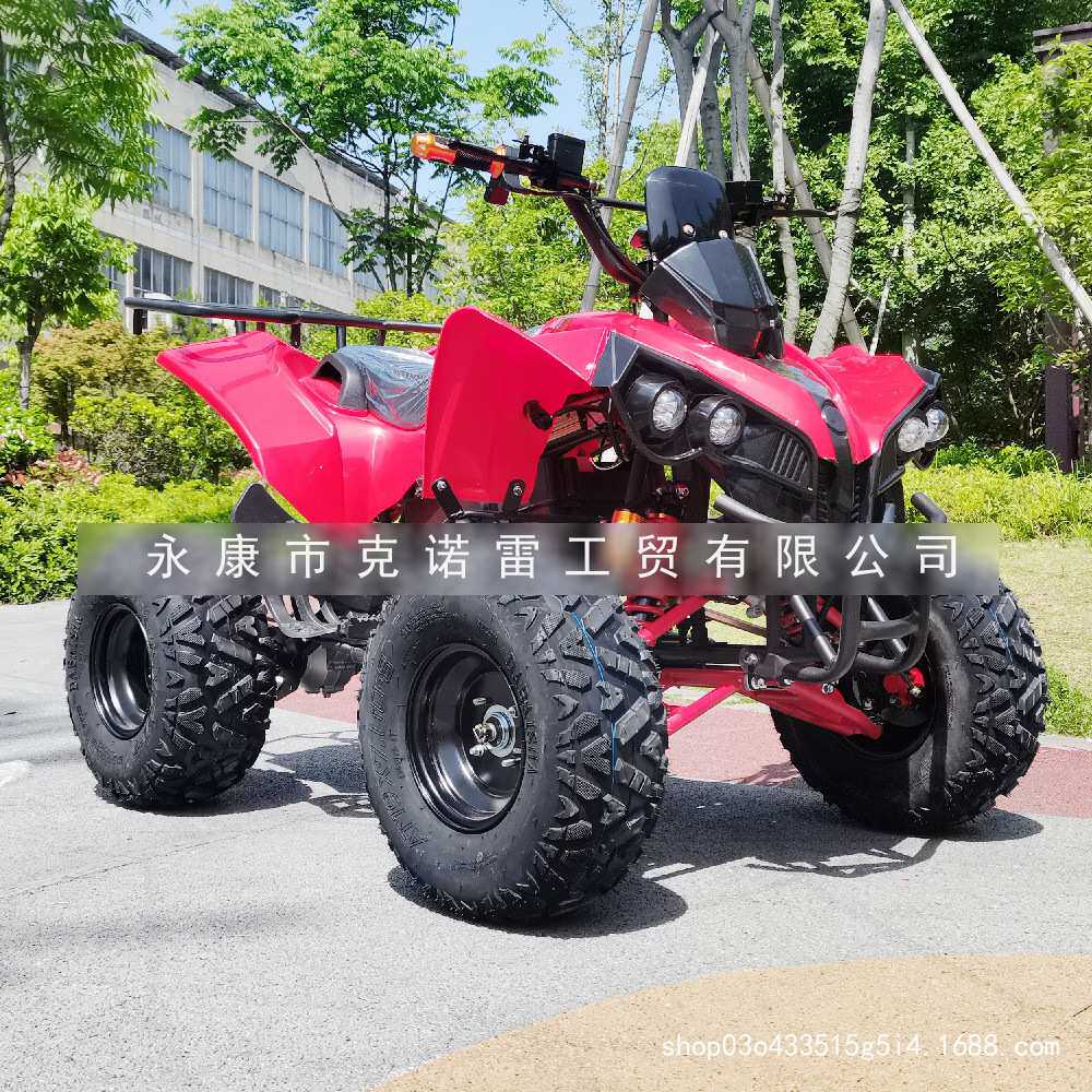 电动汽油110cc125ccATV沙滩车，四轮越野车，全地形跑车UTV农夫车