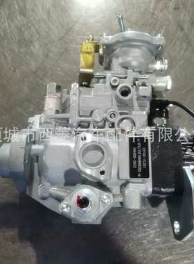 国产喷油泵 22100-1C301 196000-3134和22100-17290 096000-6760