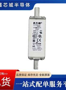 高压限流熔断器170M 3413  170M 3414 170M 3415现货包邮量大从优