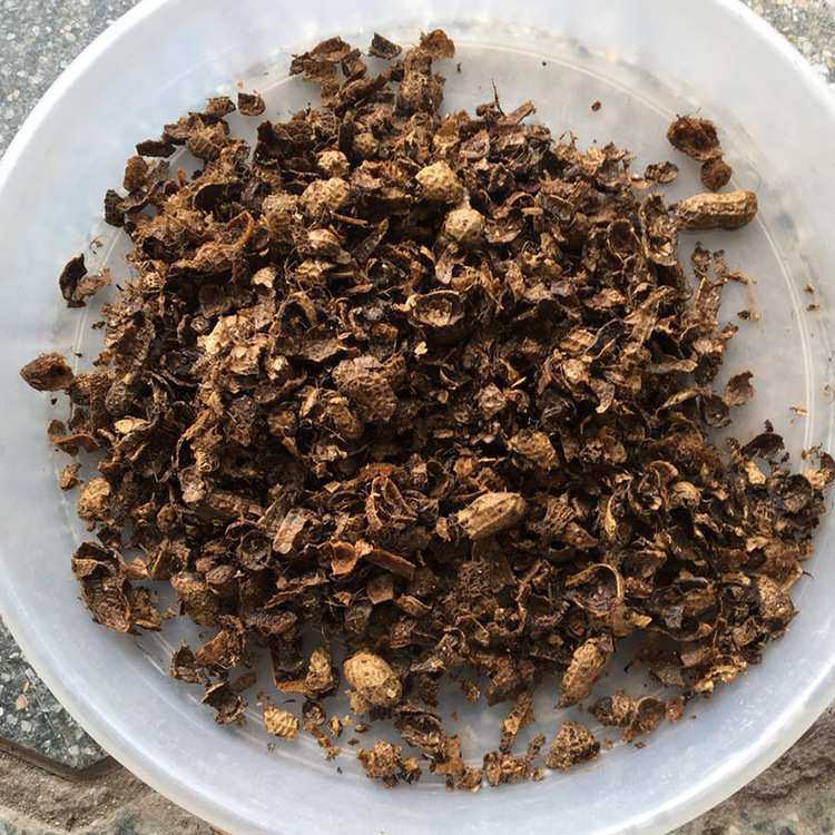 天然花生壳 兰花栽培基质 植物材料 花园土 兰科用植料