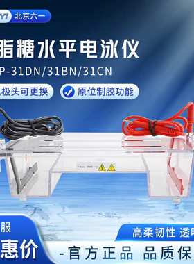 北京六一DYCP-31DN型琼脂糖凝胶水平垂直电泳仪电源实验室电泳槽