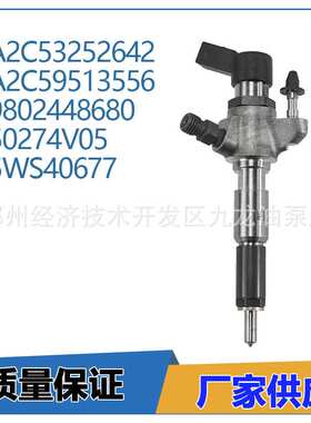 50274V05 压电喷油器 9802448680 A2C59513556 适用于福特2.0