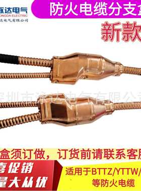 矿物质电缆专用分线盒BTTZ电缆分支盒5*10/5*10 BTLY电缆分线盒