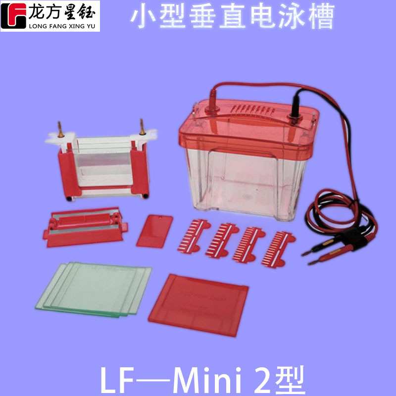 龙方星钰LF-Mini2小型垂直电泳槽蛋白样品电泳分离槽