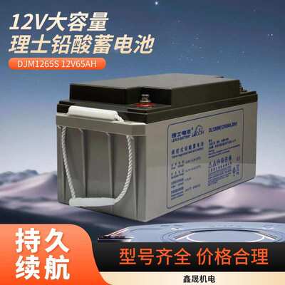 机房通讯用铅酸免维护直流屏UPS电源理士蓄电池DJM1265S 12V65AH