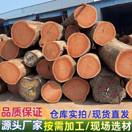 进口米子兰 家具料楼梯栏杆料 米子兰原木 米兰规格料 米子兰板材