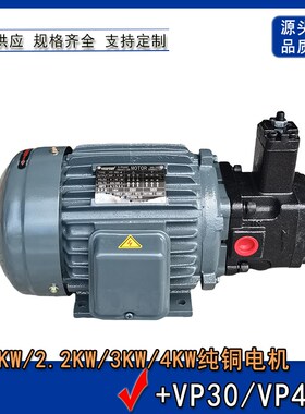 液压油泵电机组内轴电机液压站专用VP20+0.75KW1.5KW2.2KWVP0