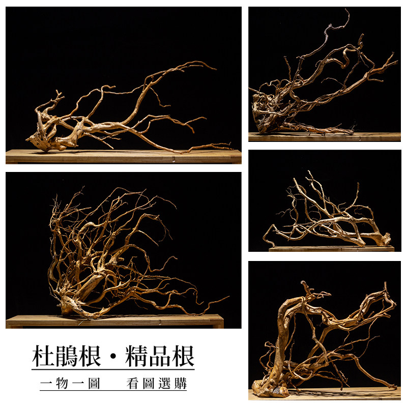 杜鹃根鱼缸造景素草材缸布景族根大号树枝天然树形雨林插花水树箱