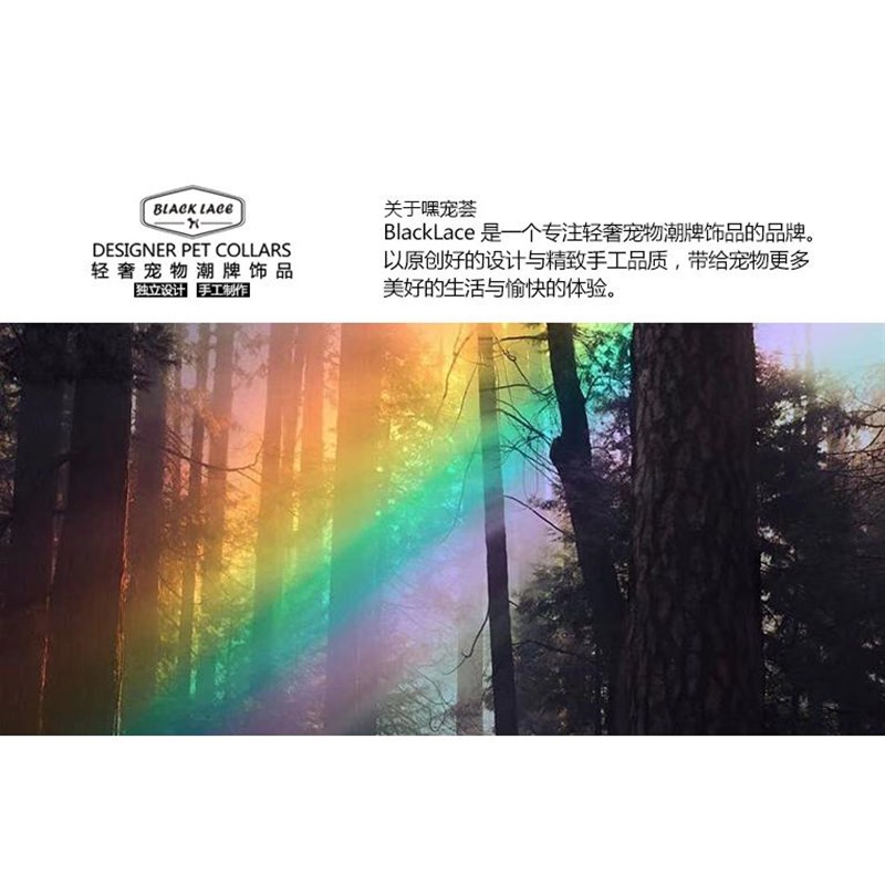 嘿宠荟宠物项圈真新小型用2024皮款比熊小泰迪专犬脖圈牵引绳颈饰