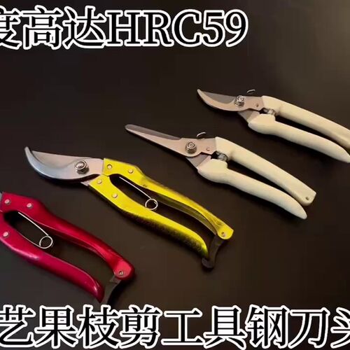 剪枝剪刀果树剪刀家用修枝花剪修树枝粗枝剪强力园林园艺剪刀工具