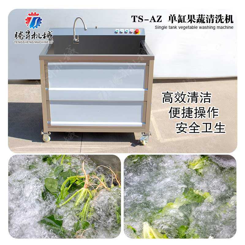 芽苗菜清洗机械设备 单缸果蔬清洗机 沙葱清洗机 小型气泡洗菜机