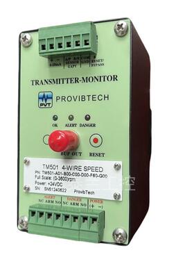 TM501-A01-B00-C00-D00-F00-G00转速变送保护表 测速监控仪 钢厂