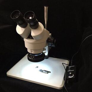 745A显微镜 超大底盘 7倍 连续变倍 可调亮度LED光源 45倍 威利WL