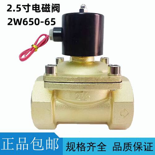全铜大口径电磁阀220V24V水阀气阀2.5寸 2W650-65 2W800-80 3寸