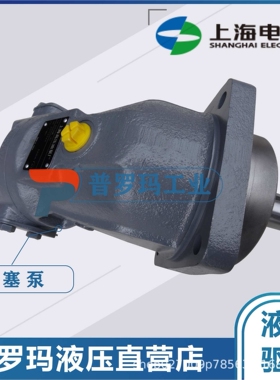上海电气液压斜轴式柱塞泵马达A2F90R6.1P5 A2F107 A2F45W6.1油泵