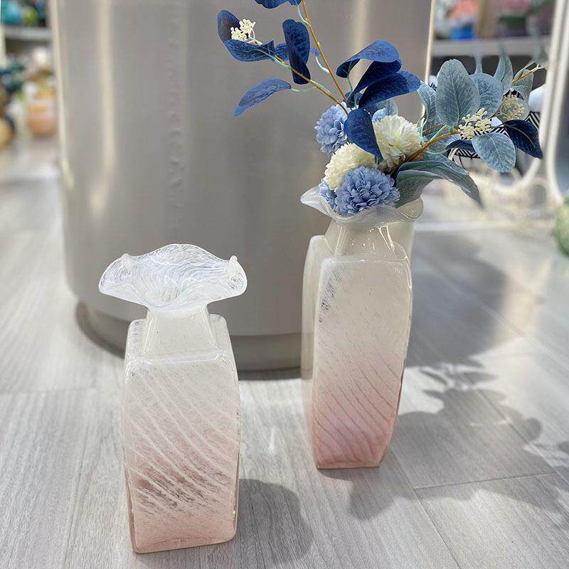 花瓶摆件客厅插花透明玻璃瓶水养马醉木富贵竹宽口水培器皿大