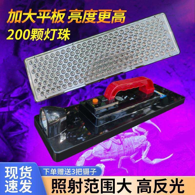 照蝎子灯专用强光超亮充电led紫光灯手提式超长续航大平板豆虫灯