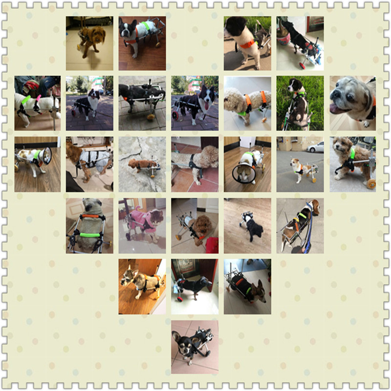 椅轮狗瘫痪残疾狗后肢支架受折脊椎骨伤狗猫代步车老年犬方便安装
