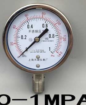 Y-100BF全不锈钢压力表Y100BF- 1MPA 140PSi 耐腐蚀 高温表