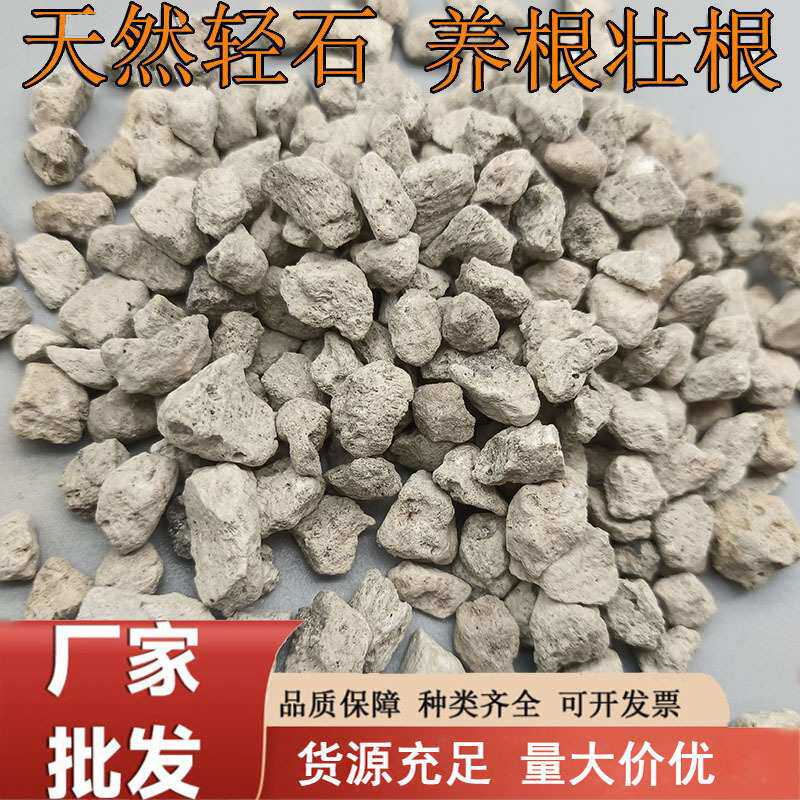 轻石造景钵底石园艺兰花多肉盆栽隔水底石水族微景观白色浮石颗粒