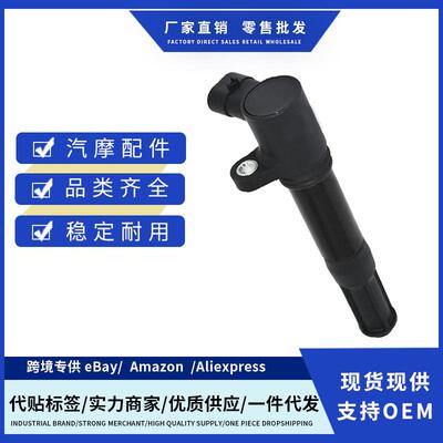 厂价46777288 55246099 504142675 点火线圈适用于菲亚特500