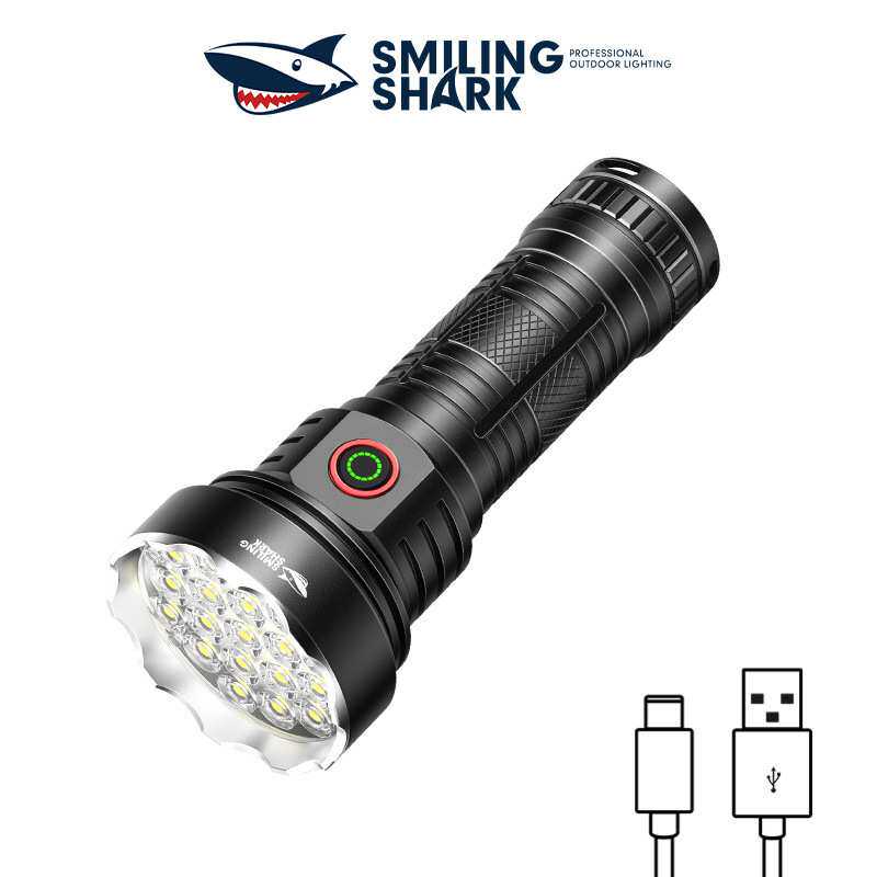 Outdoor lighting multi-bead fixed focus strong light flashli
